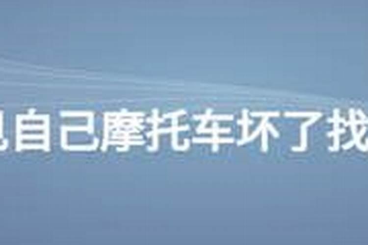 82年的狗2025年运势
