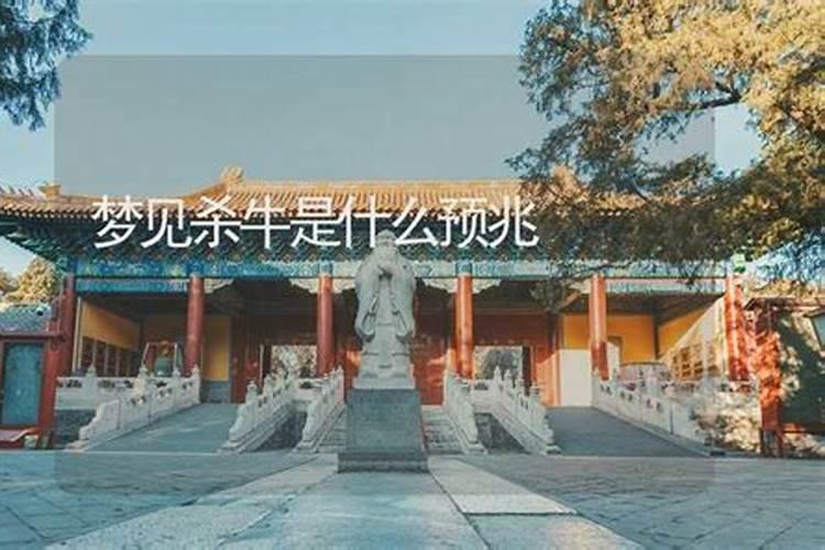 梦见杀牛是什么预兆