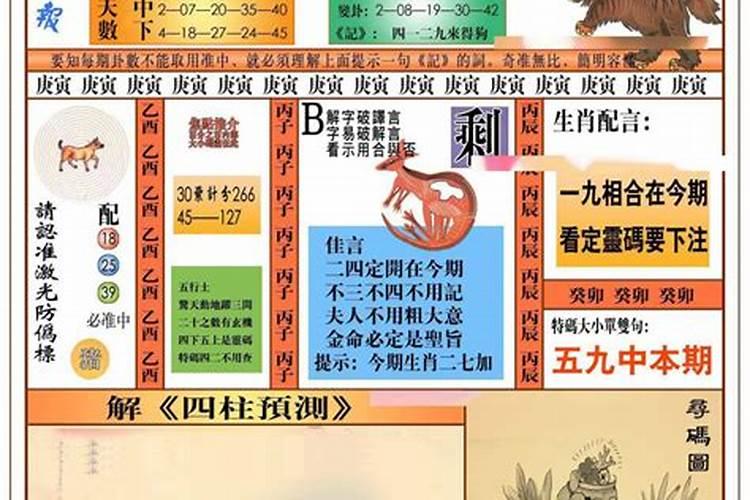 命的结构是什么,四柱预测学是什么？