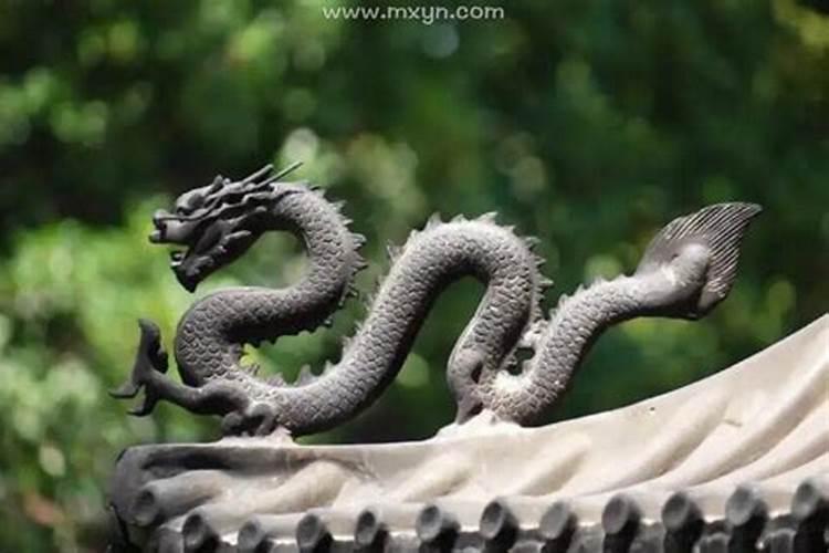 梦见龙在地上爬的预兆