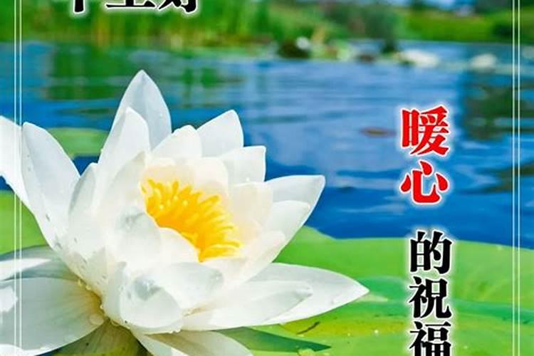 2014年农历九月初九女孩在什么时辰出生好