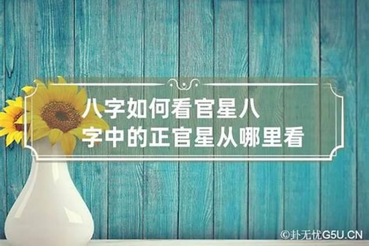 真童子的人生最后结局