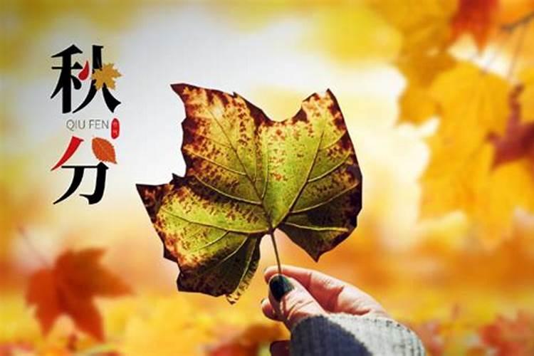 10月1日能提前上坟吗我不推荐