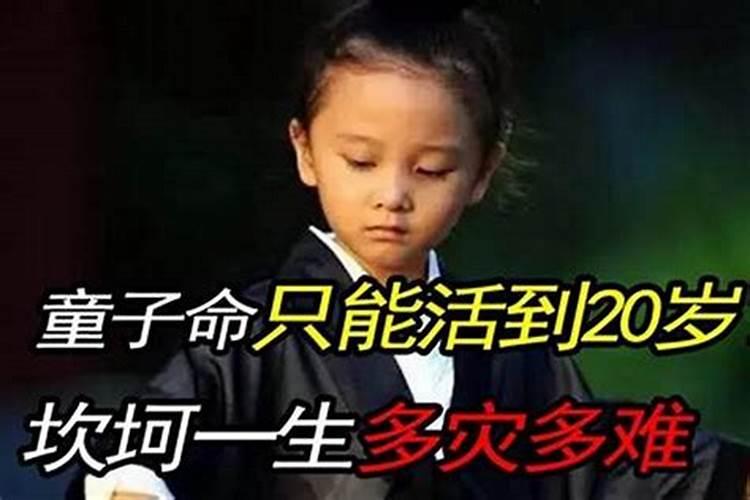 森田童子现在还活着吗？