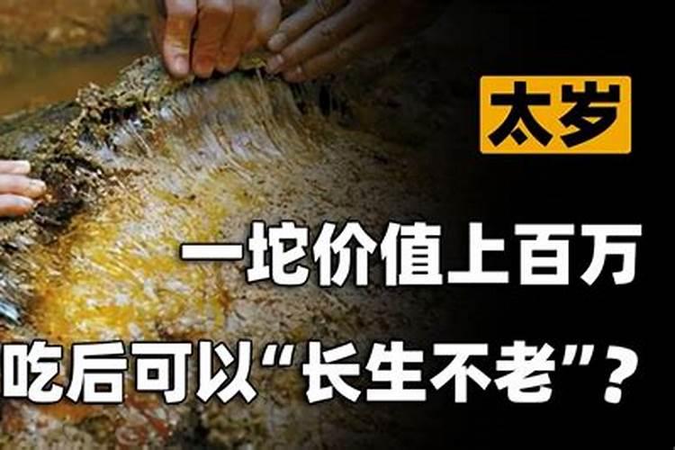 关于太岁的未解之谜:吃了真能长生？是否有生命？