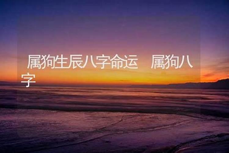 1994三月十六(阴历)生的生辰八字是什么？