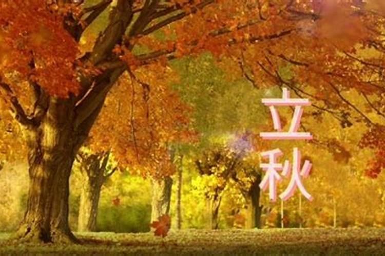 2024年立秋是几月几号 立秋的标志