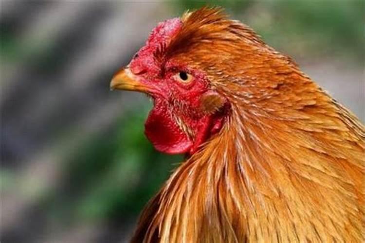 增加财运的35个方法