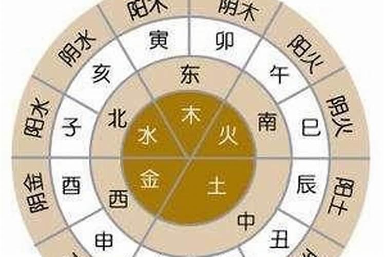 土命逢辰巳什么意思