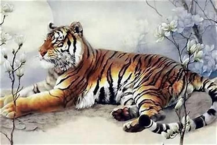 怎么看八字硬不硬
