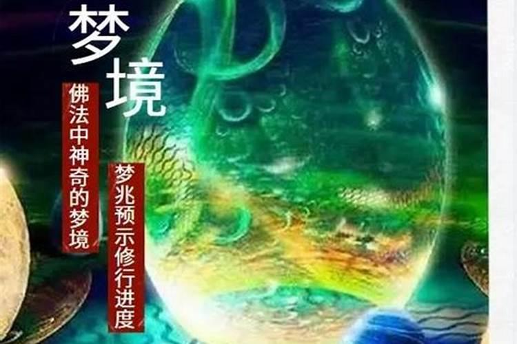 梦的是什么