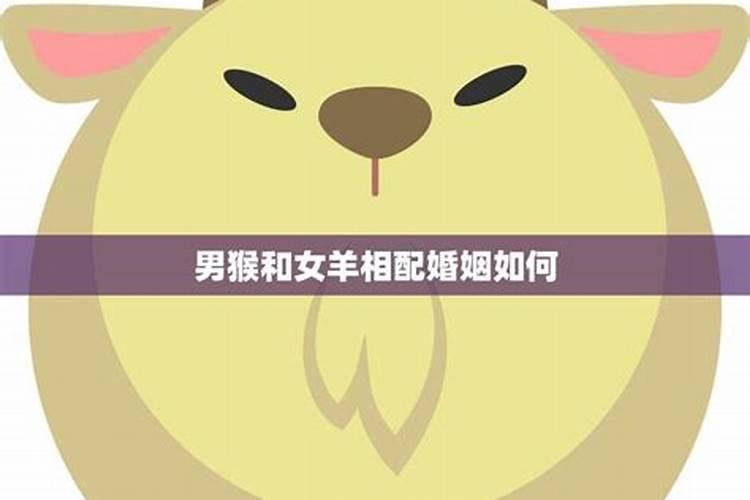 我是农历1988年9月21日出生,今年2007运程如何哦？