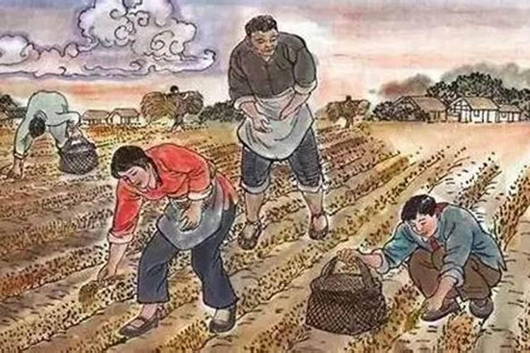 1987年正月初二是几月几号？