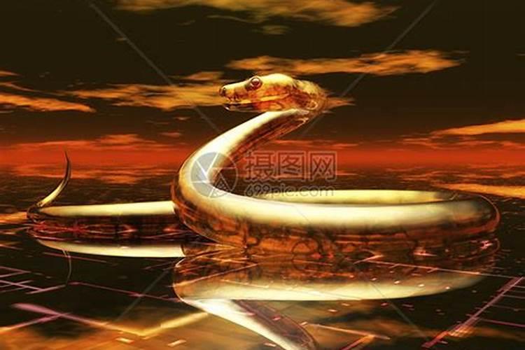 83年猪2025年属猪人的全年运势