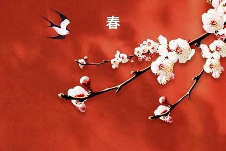 立春后要注意什么,有哪些讲究？