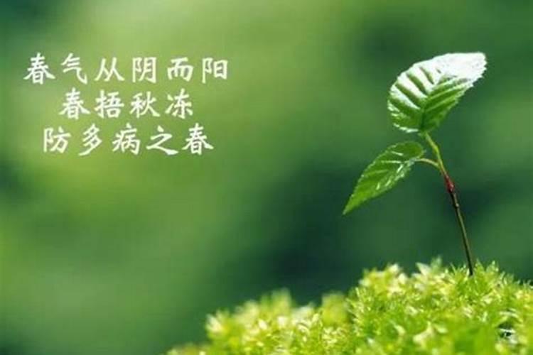 立春时节养生从哪些方面入手