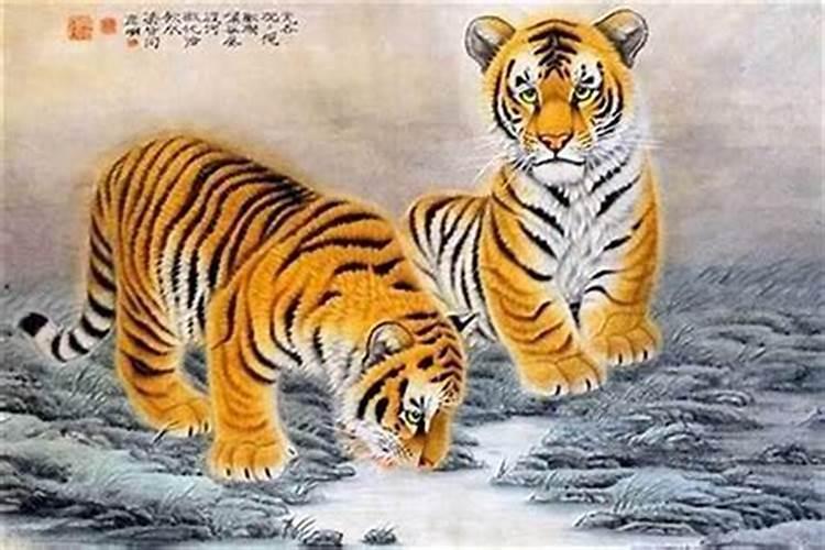 生肖虎2025年运势及运程