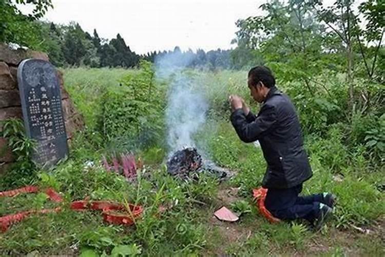 梦见一只白狗把我扑倒没咬我,怎么回事