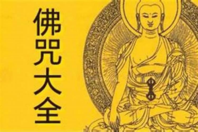 男虎配什么属相最好