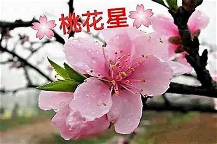 八字中如何看正缘桃花