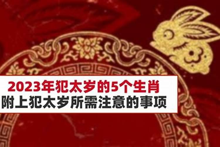 梦见厕所下面有只猫啥寓意,从厕所里就可以看到,那个毛坑里都是水百 ...