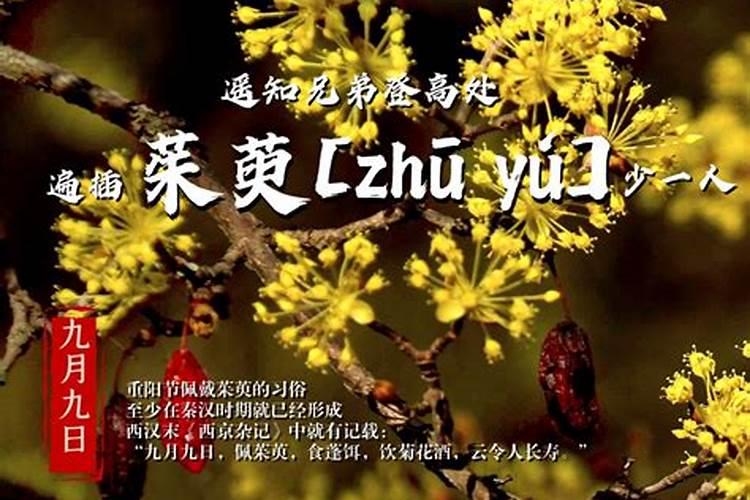 2025年几斤几两
