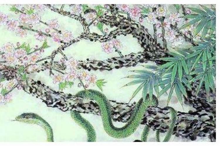 梦见谁家放爆竹把我家玻璃崩烂了
