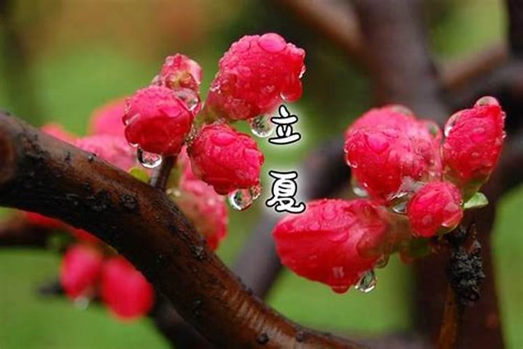 太岁符可以去不同的寺庙烧吗