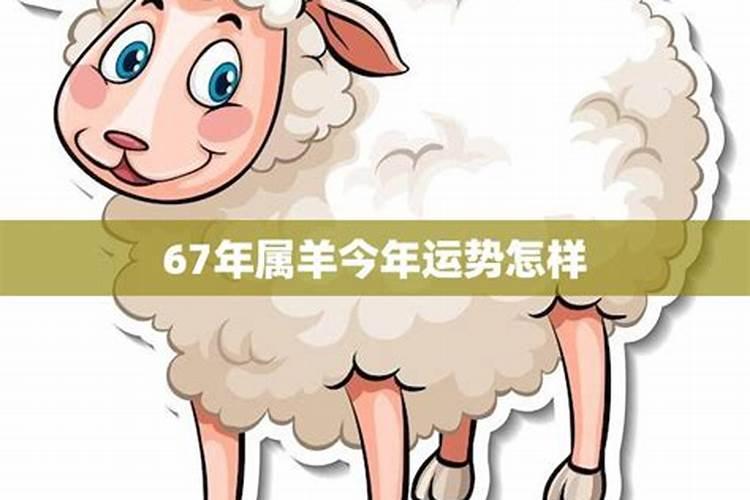 67年属羊人2025年运势