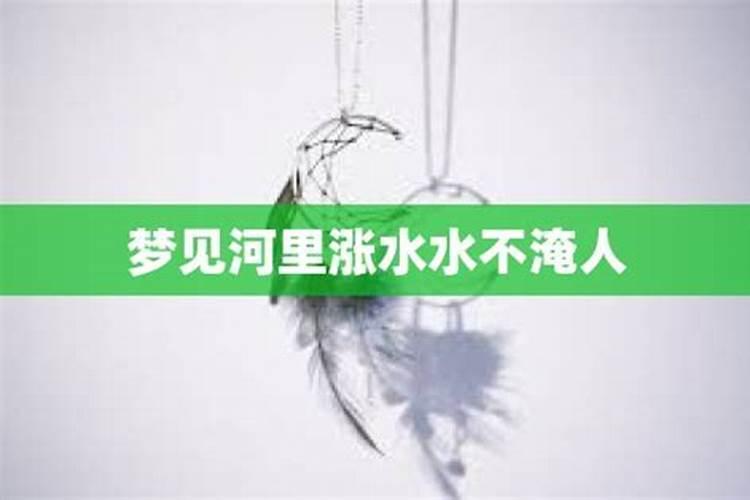 2025年5月9日属马人运势