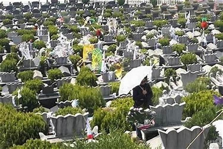 2023年6月1日属相小运播报与特吉生肖运势吉凶？