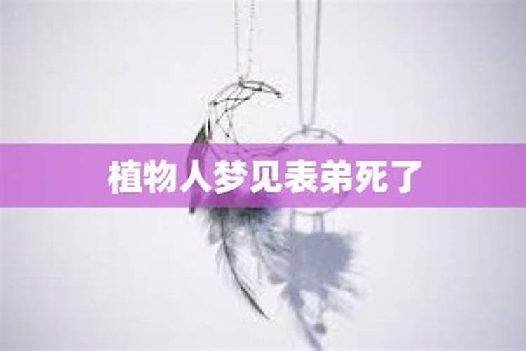 梦见表弟是什么意思