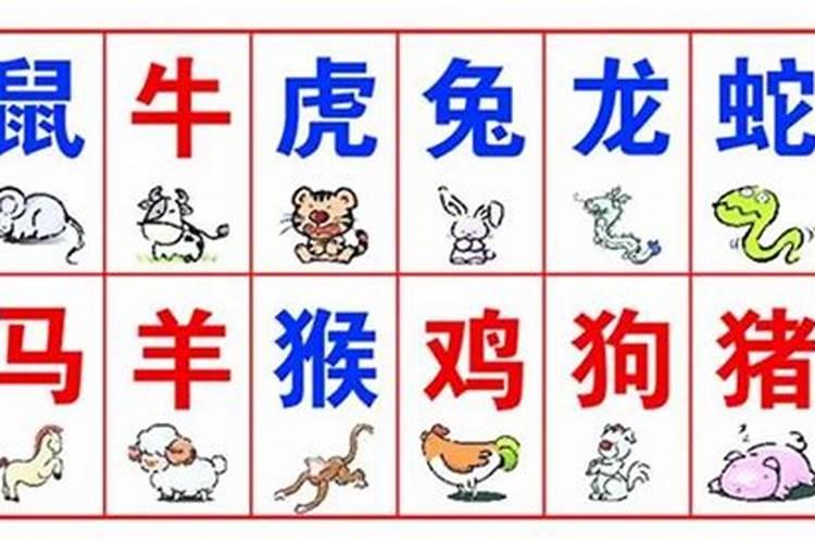 男孩龙抬头那天出生好不好