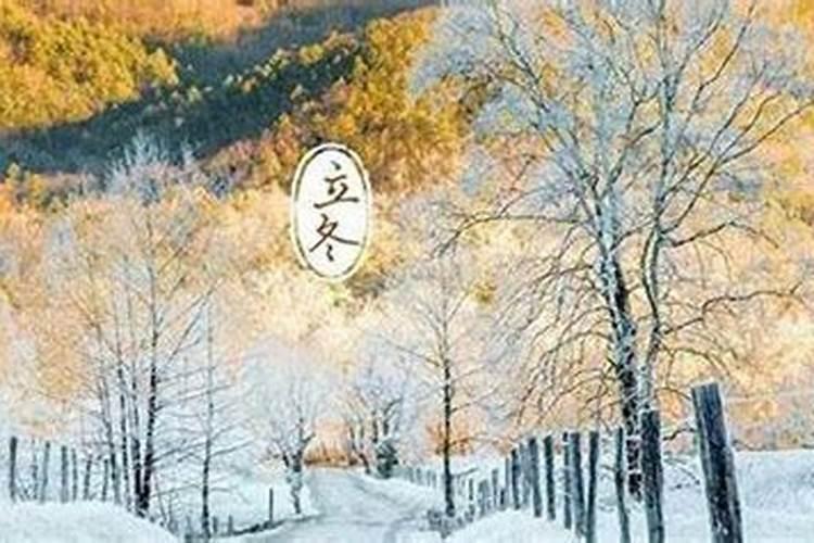 立冬南方人吃什么