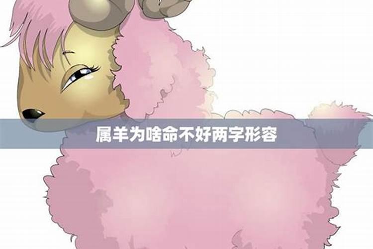 属狗人2025年每月运势及运程详解