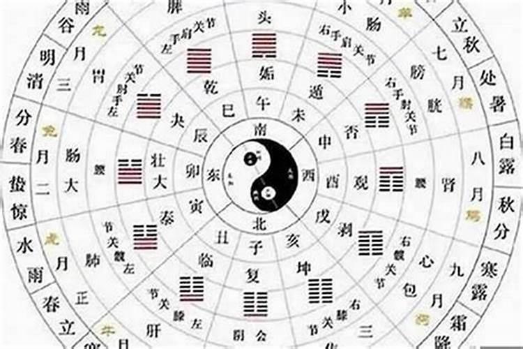 重阳节的由来和风俗简介？
