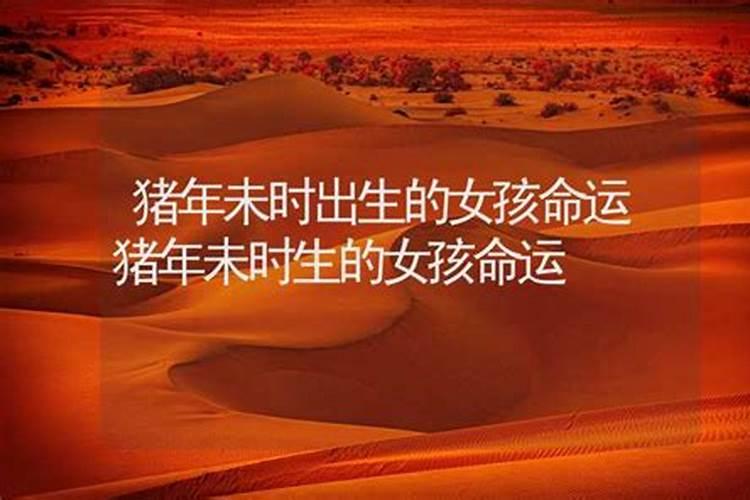 1995年农历十月初一出生的人是什么八字