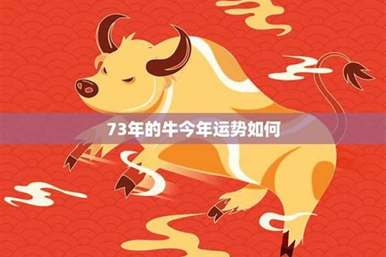 73年牛2025年运势及运程
