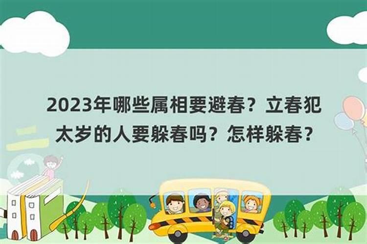 癸卯年什么最旺财