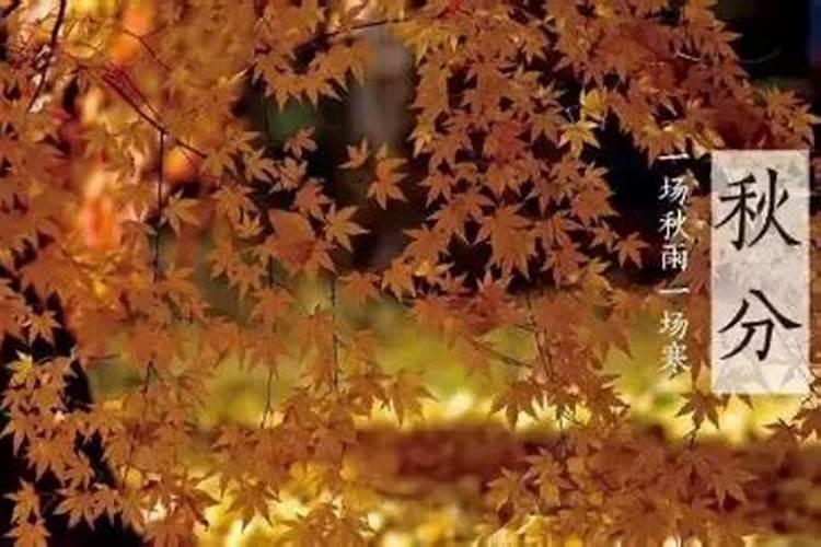 7月23日出生的人的命运如何？