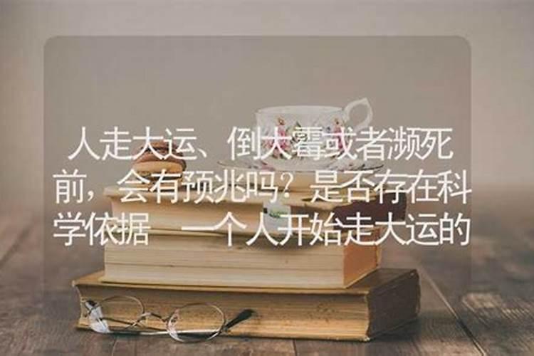 二月二日是什么星座 二月初二是什么星座