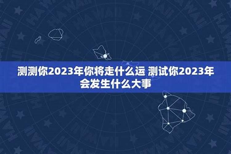 属马人2025年全年运势运程