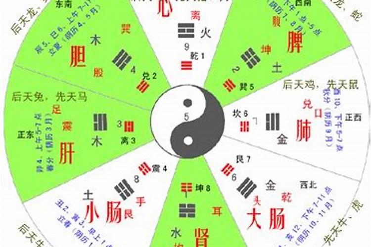 梦见下雨发大水是什么意思？