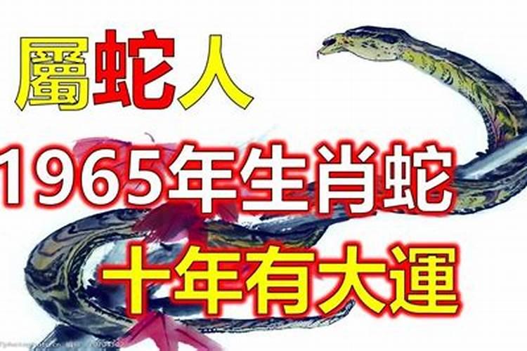 93年属鸡人2025年运势如何