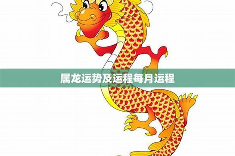 属龙2025年的运势及运程