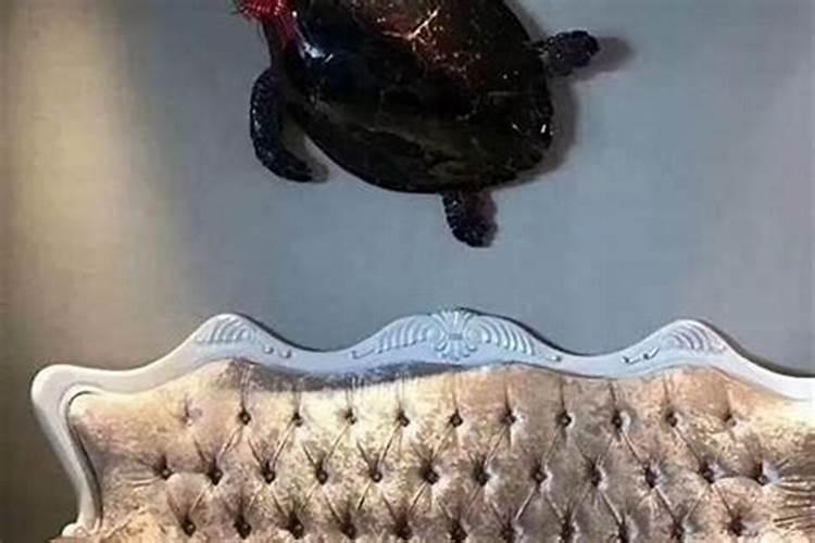 男兔女鸡为何说是绝配