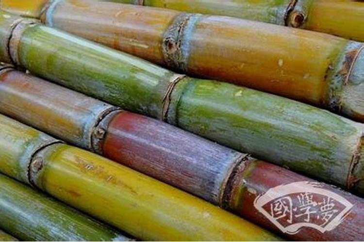九九重阳节结婚好不好？农历九月是不是鬼月