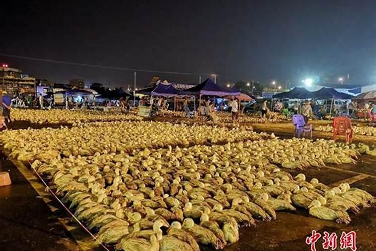 寒衣节祭拜父亲的句子