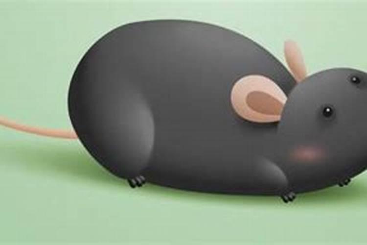 男人梦见老鼠什么征兆 男人梦见老鼠好不好