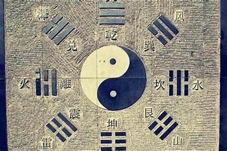 食才在流年里的意思是什么？